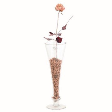 Роза Casa interior, Изкуствена